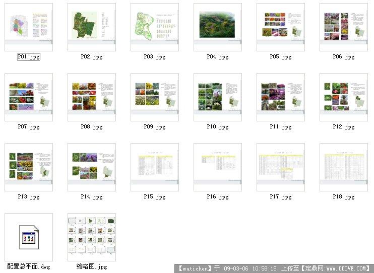 重庆某主题公园植物配置 投标文件(含CAD总平