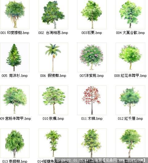 园林景观手绘图片_园林景观手绘效果图_园林景观手绘平面图