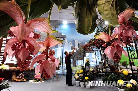 北京:第七届中国花卉博览会国庆元素很扎眼(