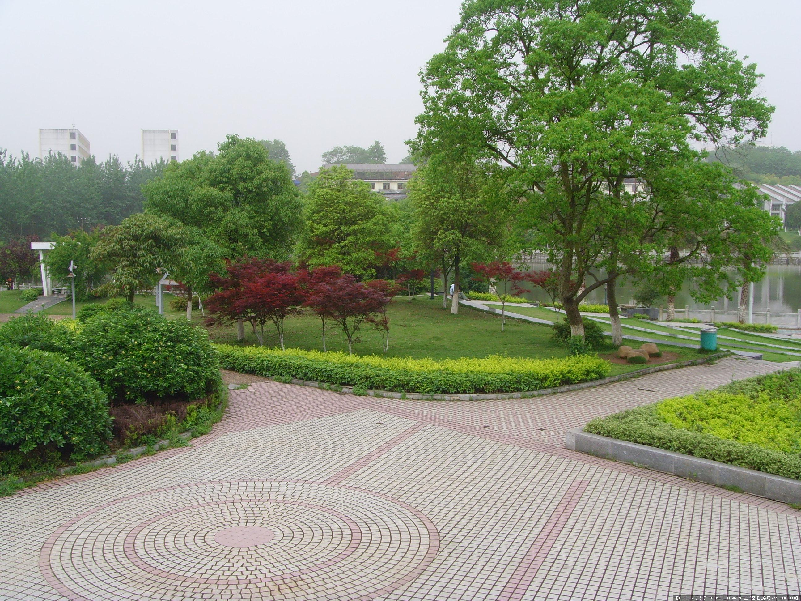 小广场景观设计,大学校园广场,半圆形广场景观_大山谷图库