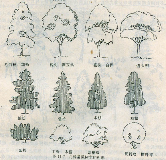 园林透视图的详细内容,园林景观设计施工图纸