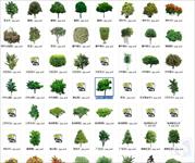 81种植物PS立面图