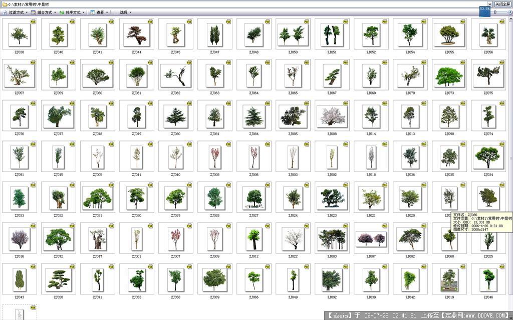 高清园林贴图常用单棵树合集3