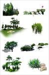 园林植物配景素材之PS树木的分层资料