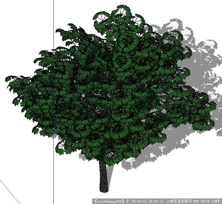 树Sketchup模型