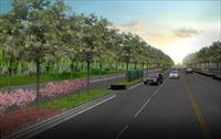 郊区公路绿化方案