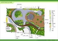 某林学院中庭园林景观绿化方案总平图