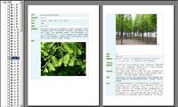 常见园林植物介绍pdf