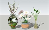 花盆配植物花卉SU(草图大师)模型