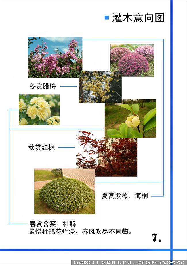 青枫公园植物配置分析图片